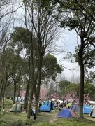 上海公园里长满了帐篷！网友吵翻了！
